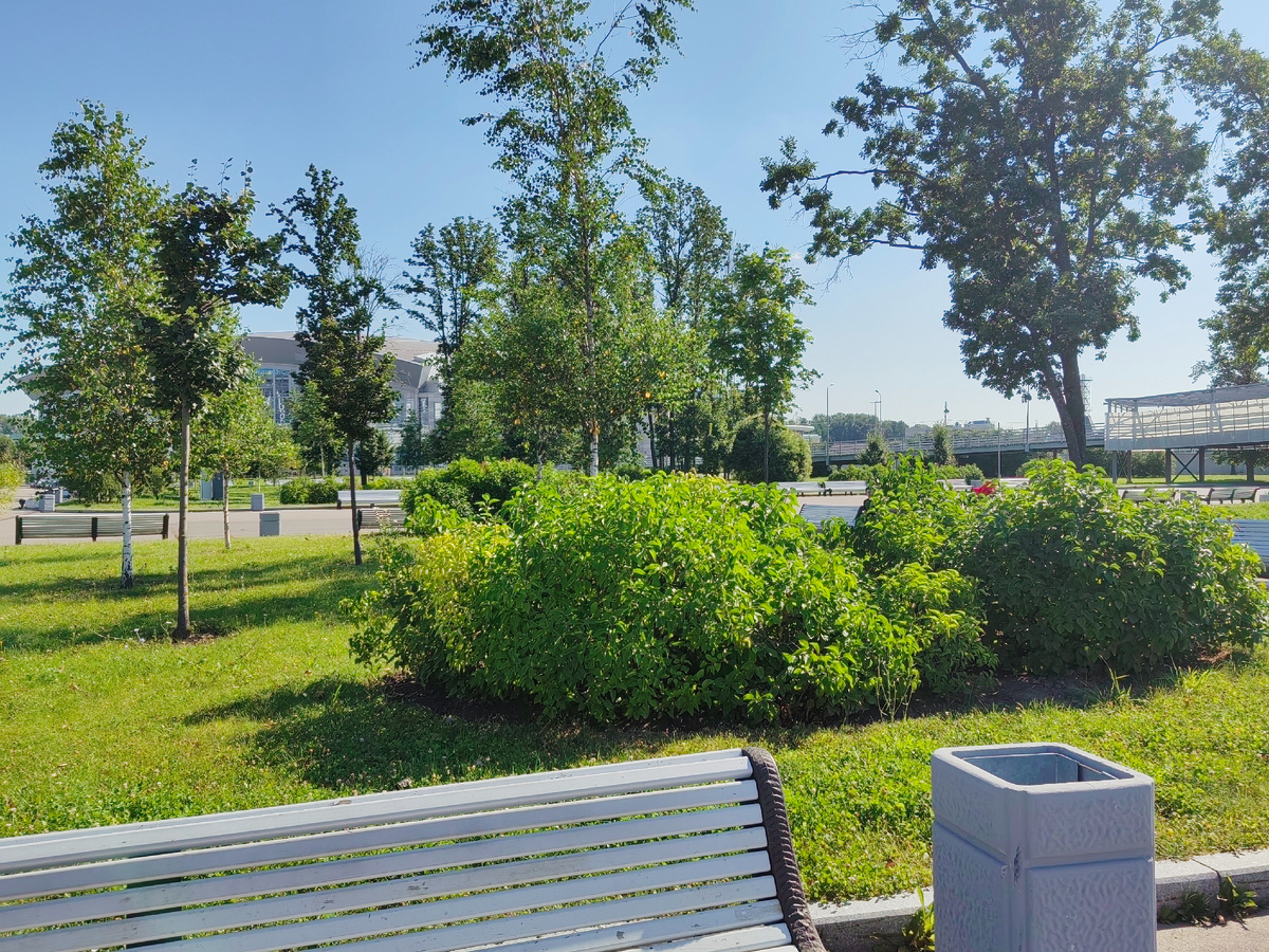 Наш зеленый летний Петербург