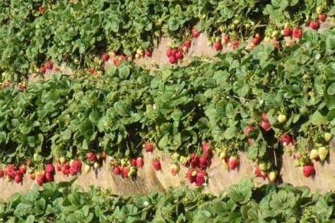 фото взято с яндекс картинки