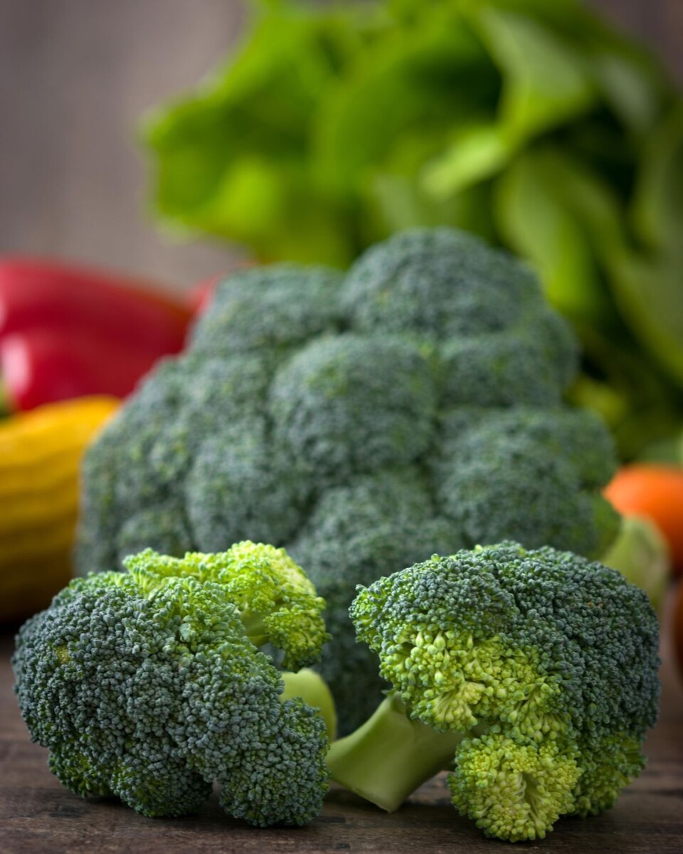 Источник фото: Canva