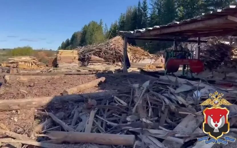    Жителей Удмуртии осудят по делу о незаконной рубке леса на 37 млн рублей