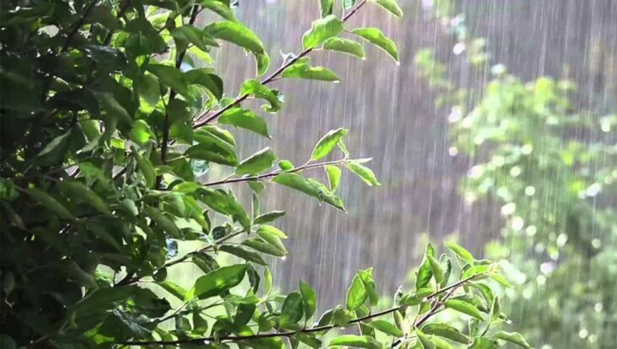 Изображение из открытых источников