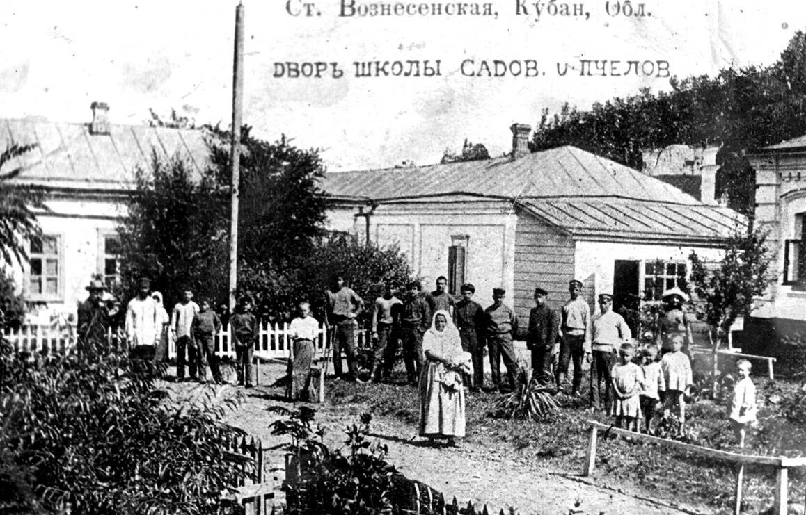 Станица Вознесенская, Кубанская область. Двор школы садововов и пчеловодов, начало ХХ века. Источник: https://ru.wikipedia.org/wiki/Файл:Вознесенская_школа_садоводства_и_огородничества.jpg