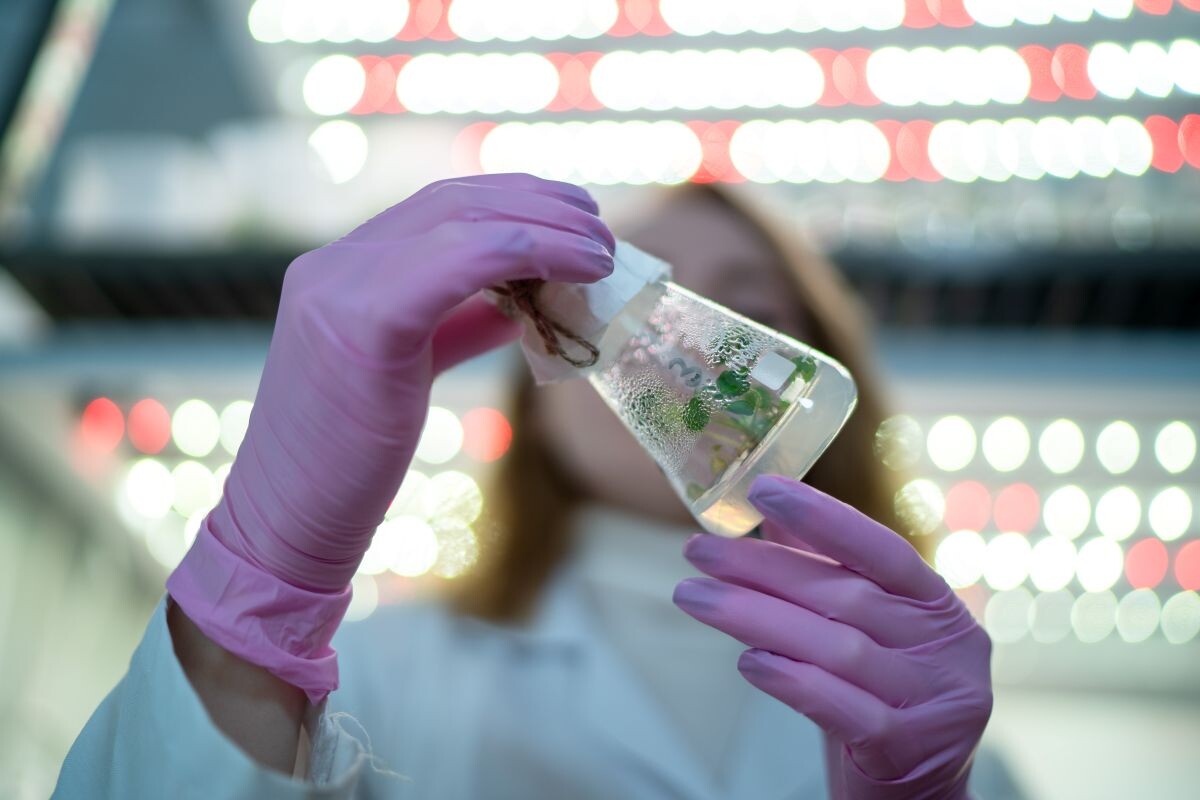 Фото: Александр Плонский / «Агроэксперт»