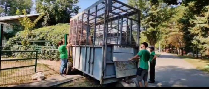 Источник фото: Ростовский зоопарк