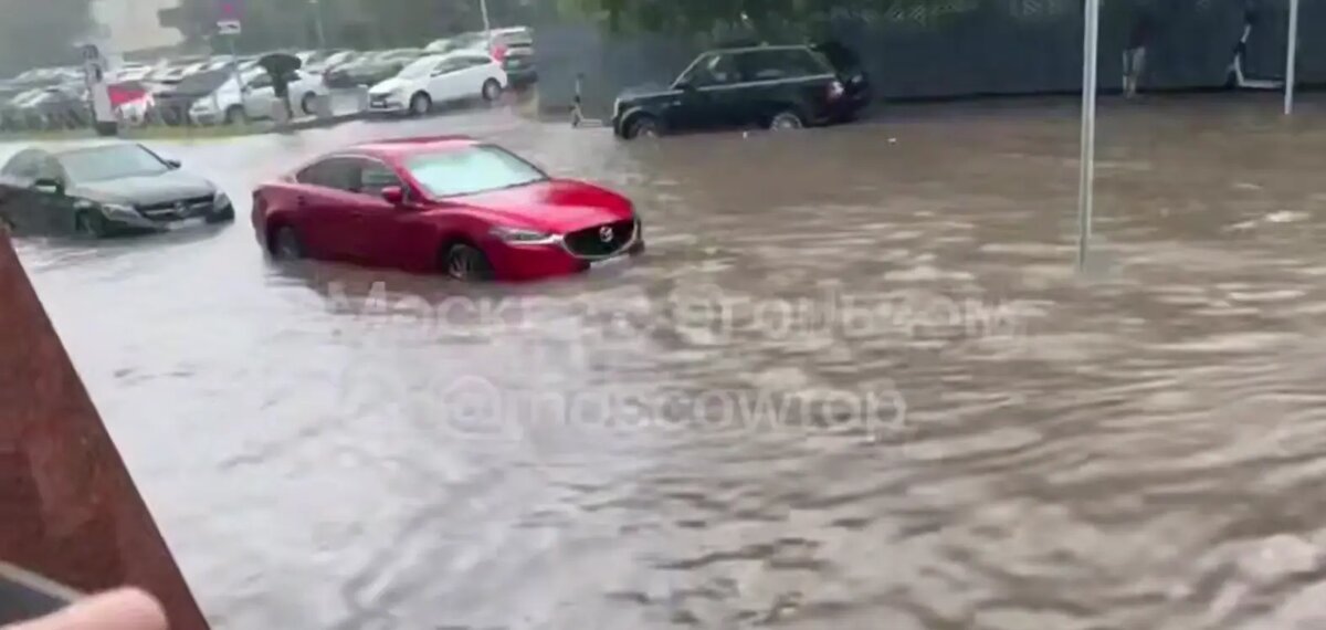    Фото: скриншот видео из telegram-канала «Москва с огоньком»