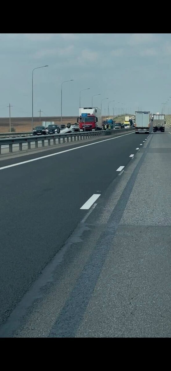     Автор: t.me/m4dononline