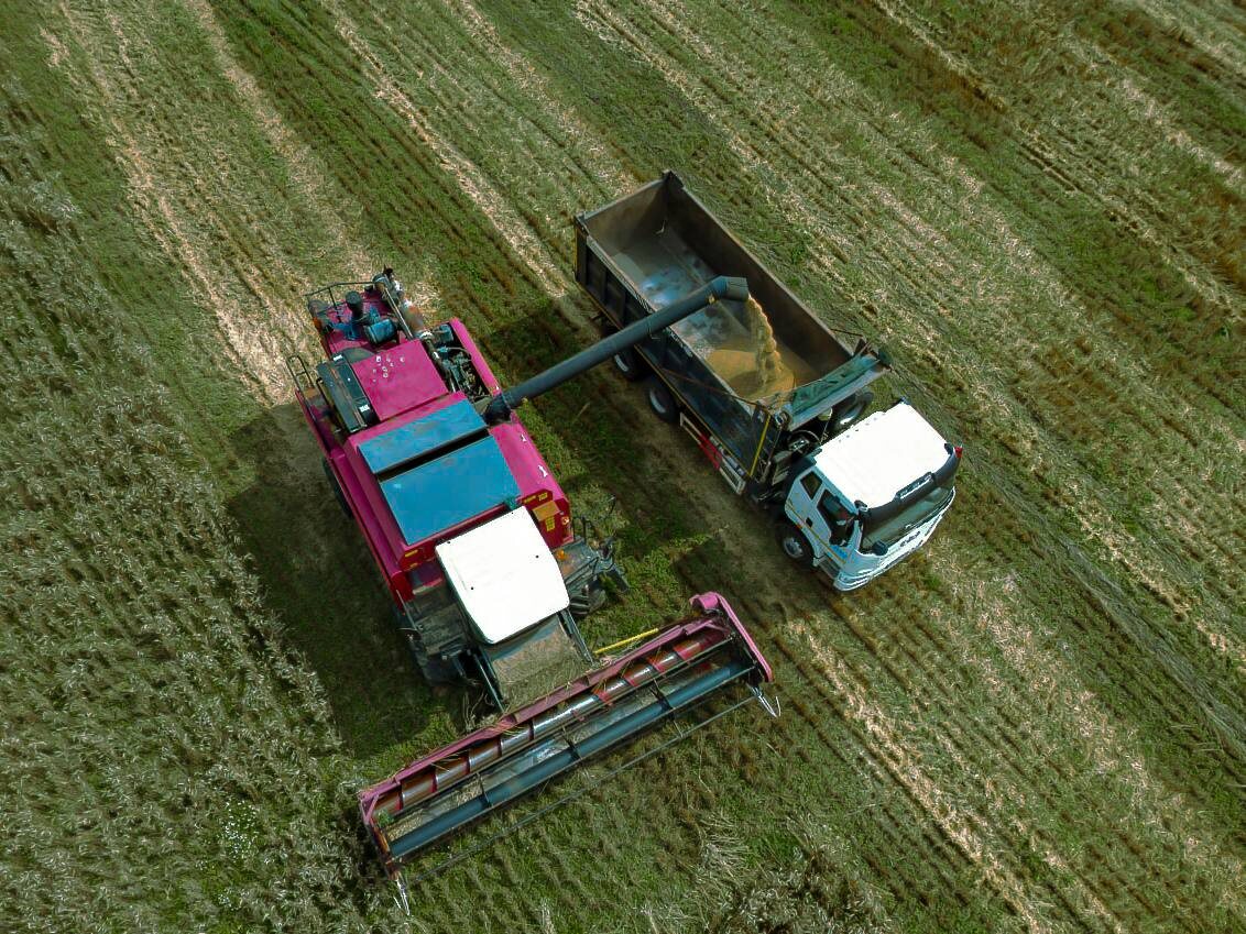 ООО "Евсеевское" аграрные проекты