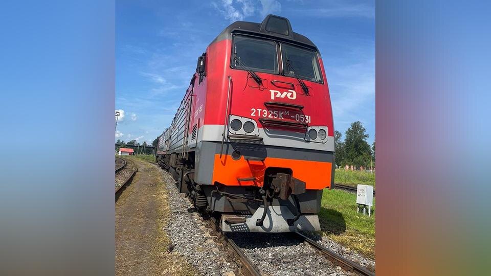    Фото: t.me/mvdszfo