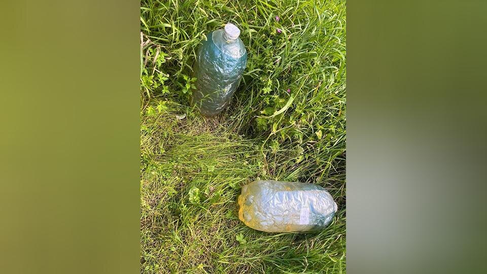    Фото: t.me/mvdszfo