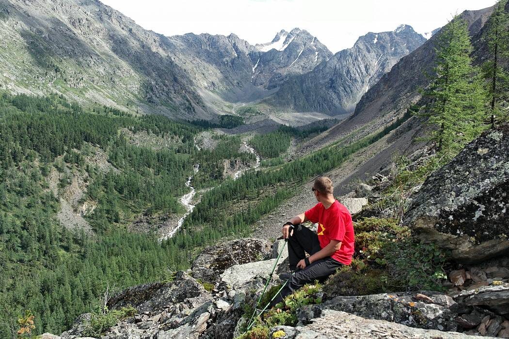 Источник Яндекс Картинки