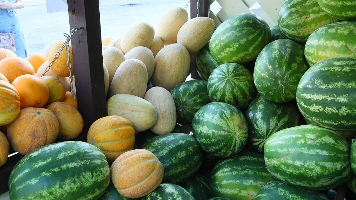    Фото: Василий Кузьмиченок / АГН Москва