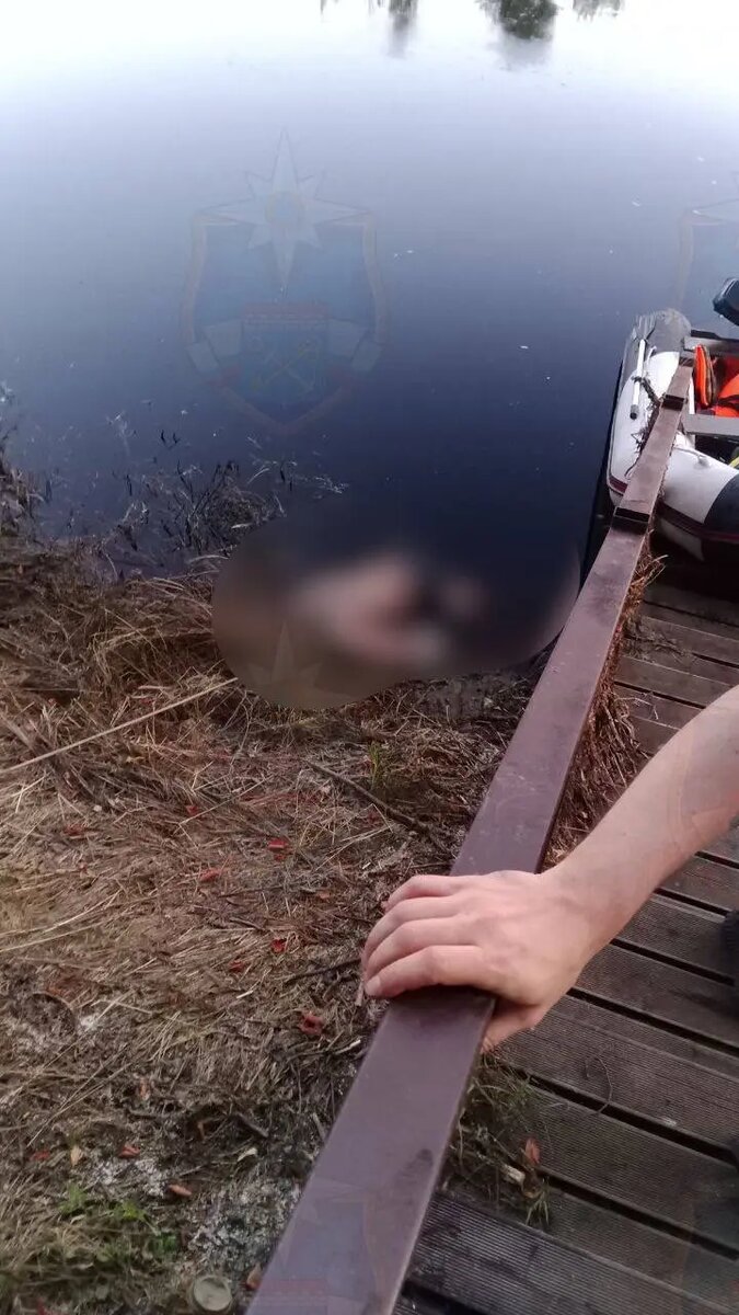    Фото: пресс-служба аварийно-спасательная служба Ленобласти.