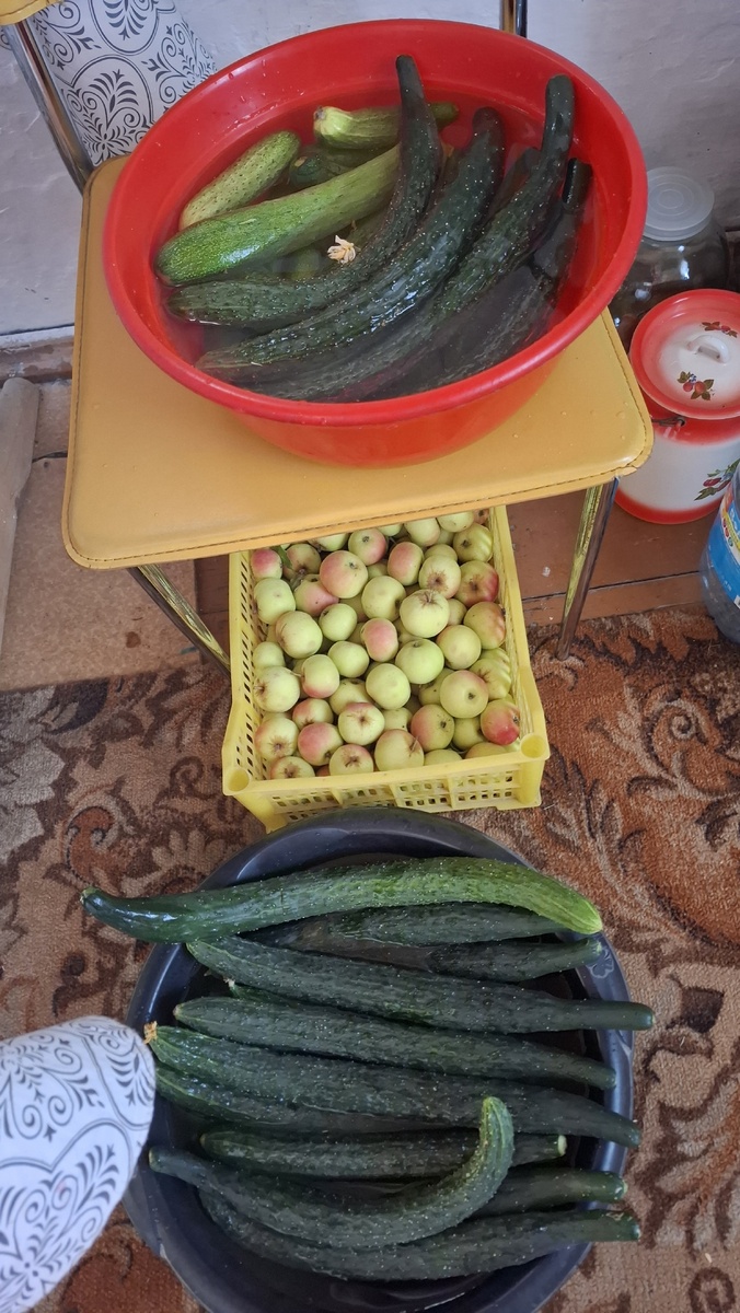 Огурцы уже залила водой. Яблоки жлут своей очереди