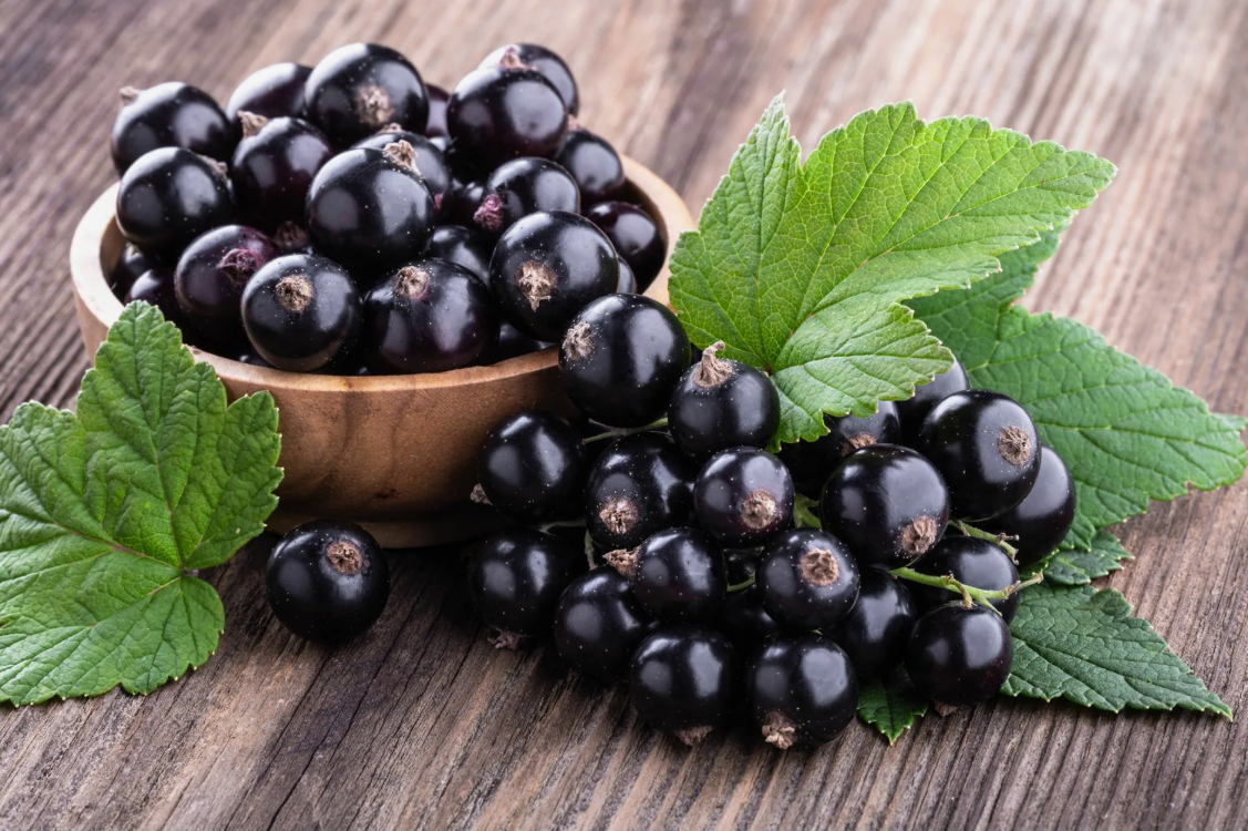 Самые крупные ягоды формируются на 2-3-летних ветках.