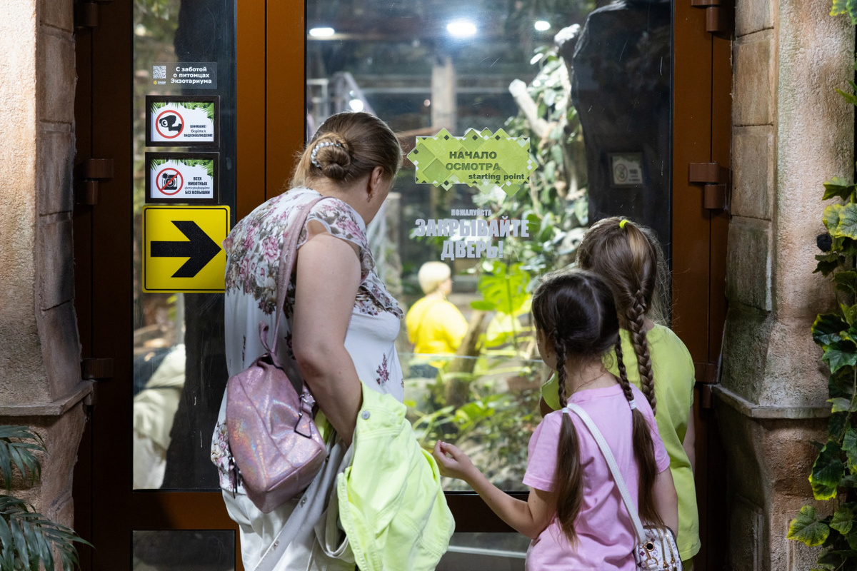 Листайте вправо, чтобы увидеть больше изображений