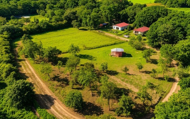    Фото: Изображение Midjourney