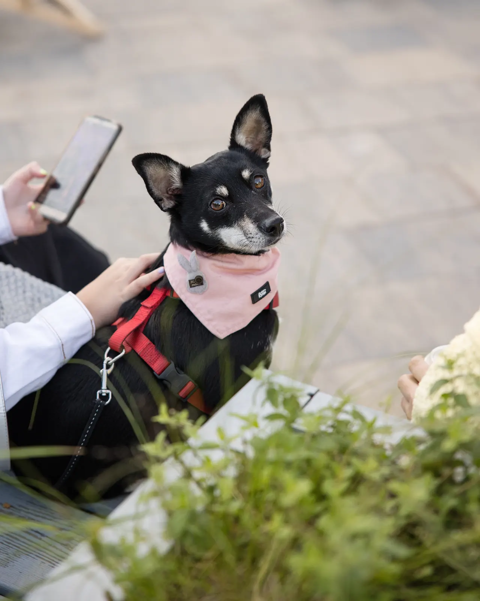    На Даниловском рынке пройдет второй летний «Ламбада-маркет» (фото 3)