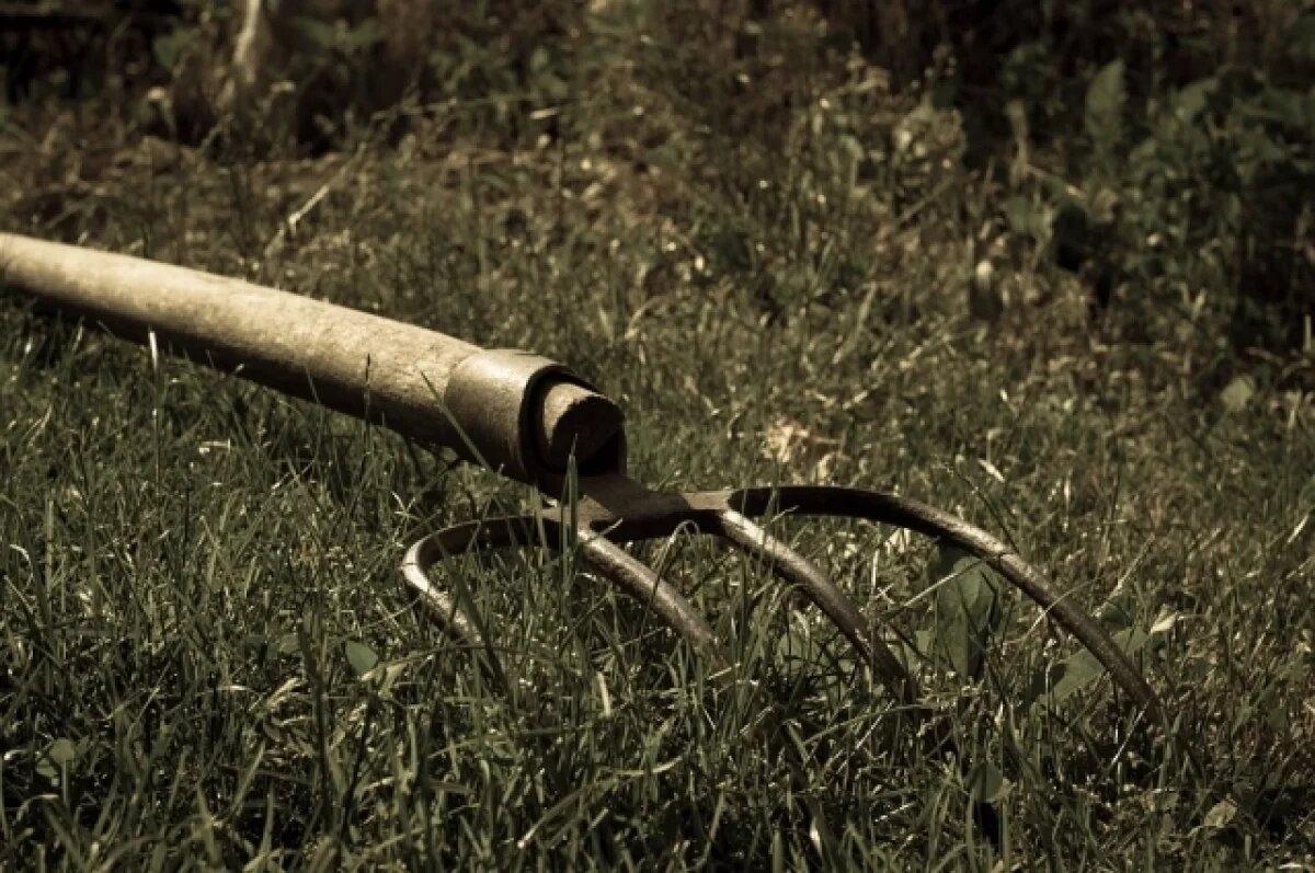    Поднять на вилы: калужанин ударил сельхозорудием родственника