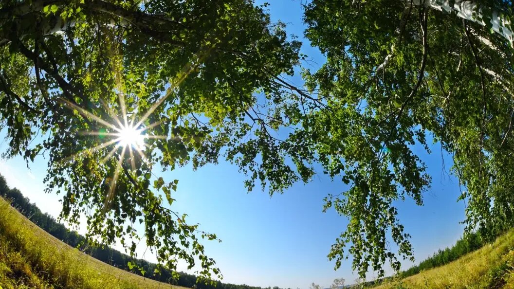    Фото: Царьград