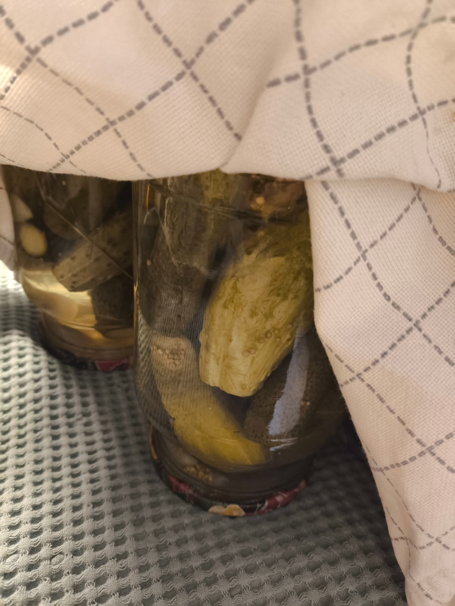 Стоят красавчики, остывают) 