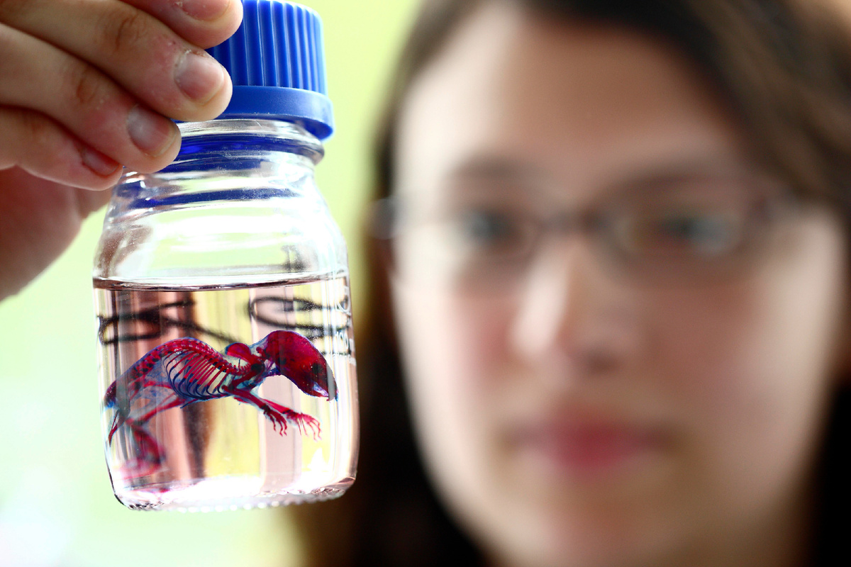 Фото: © Jochen Tack/ imageBROKER.com/ Global Look Press