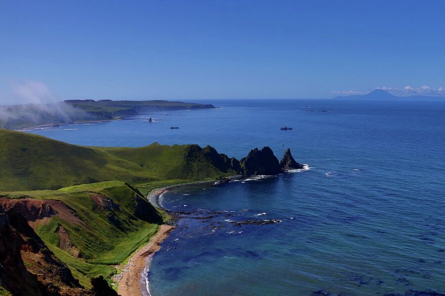     / Источник: ©РИА Новости/ Екатерина Аристархова