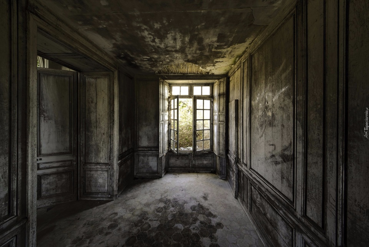 Фото из Интернета 