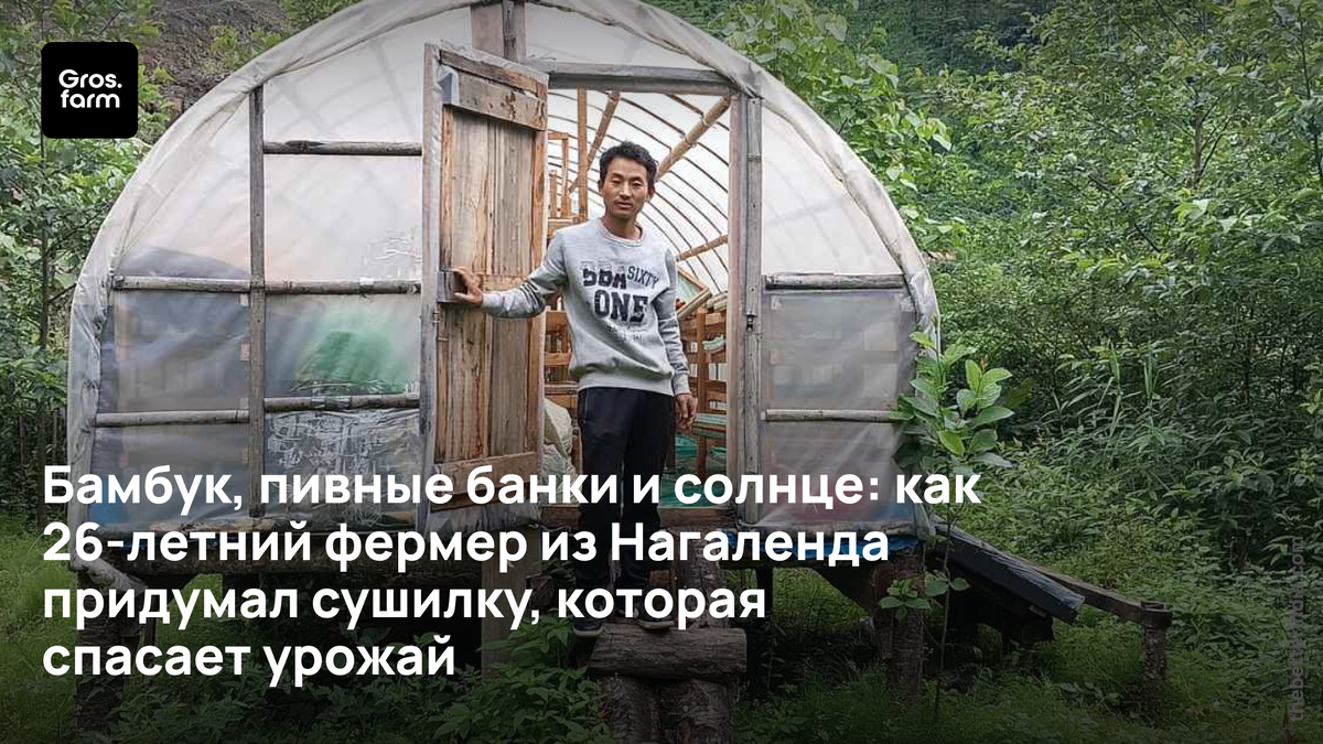 «Мы просто смотрели, как всё гниёт» - говорили фермеры до изобретения Свуйевезо Дзудо
