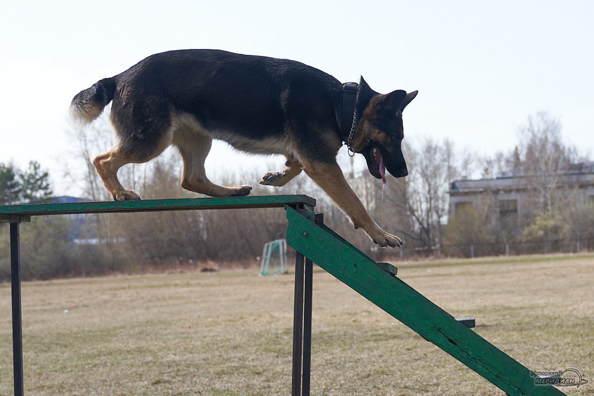    Фото: Лидия Аникина © ИА «Уральский меридиан»