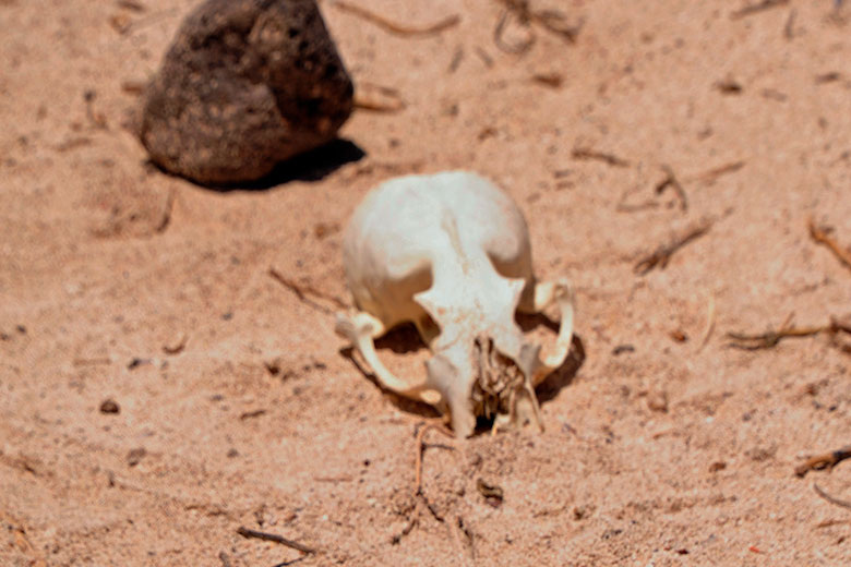    Reinhard Kaufhold/Global Look Press