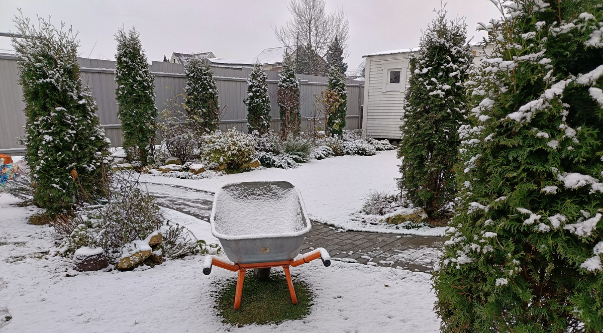 Сад автора, декабрь