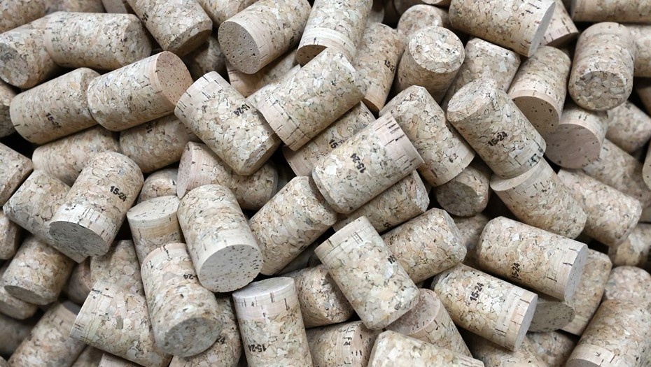    Автор фото: Дмитрий Феоктистов/ТАСС