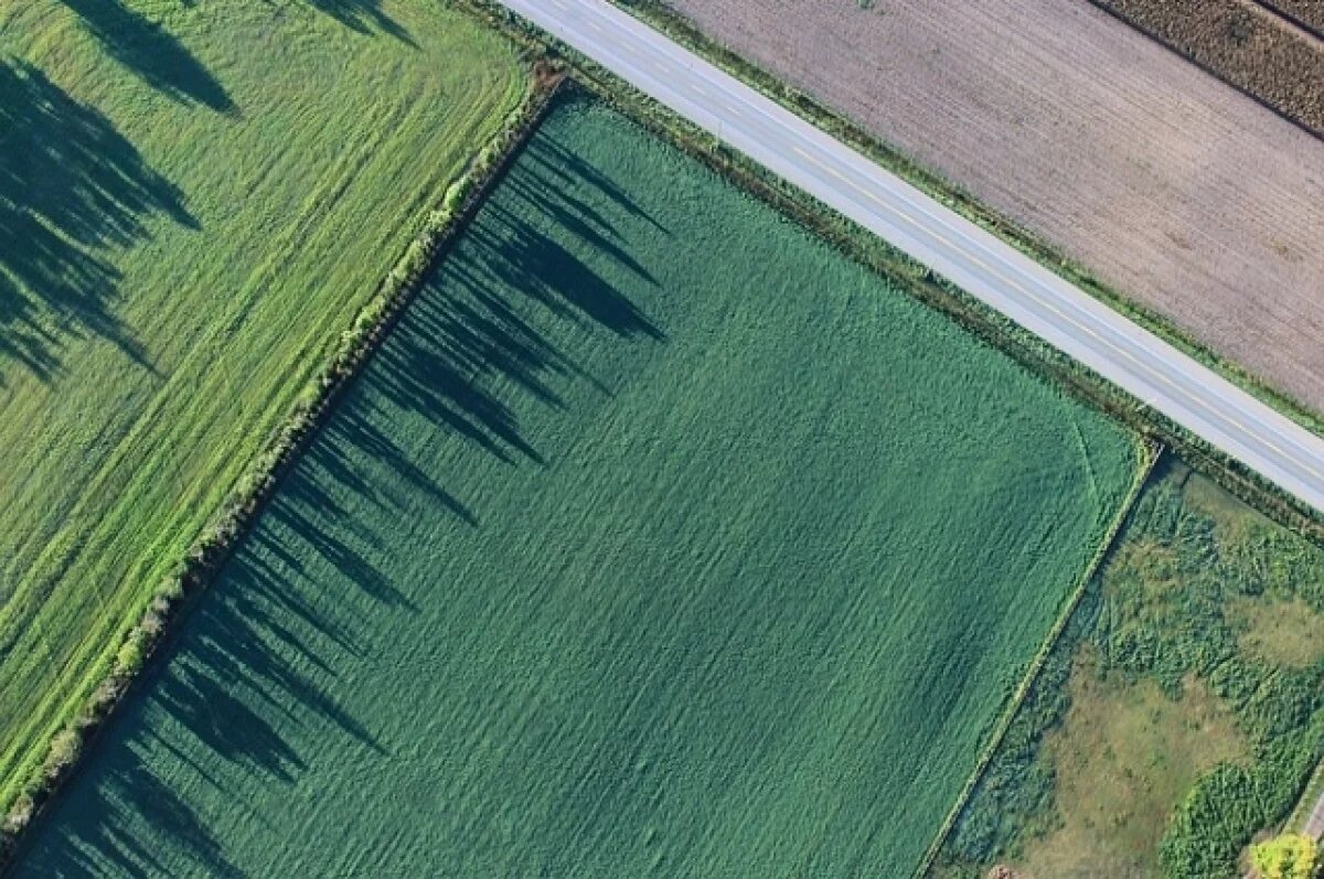    В Тверской области 11 участков земли попали в повышенную группу риска