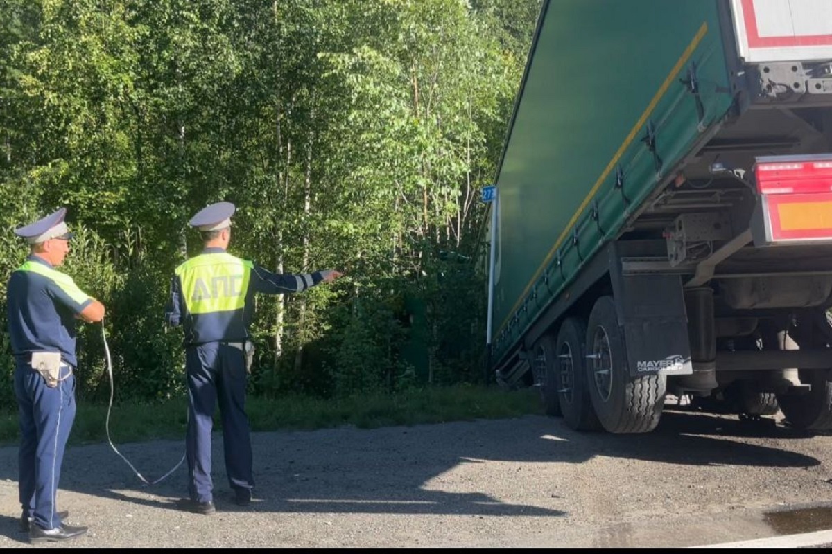    Фото: ГАИ Свердловской области