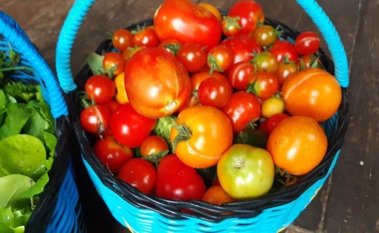    Фото: Лукьянов Дмитрий, AgroXXI.ru