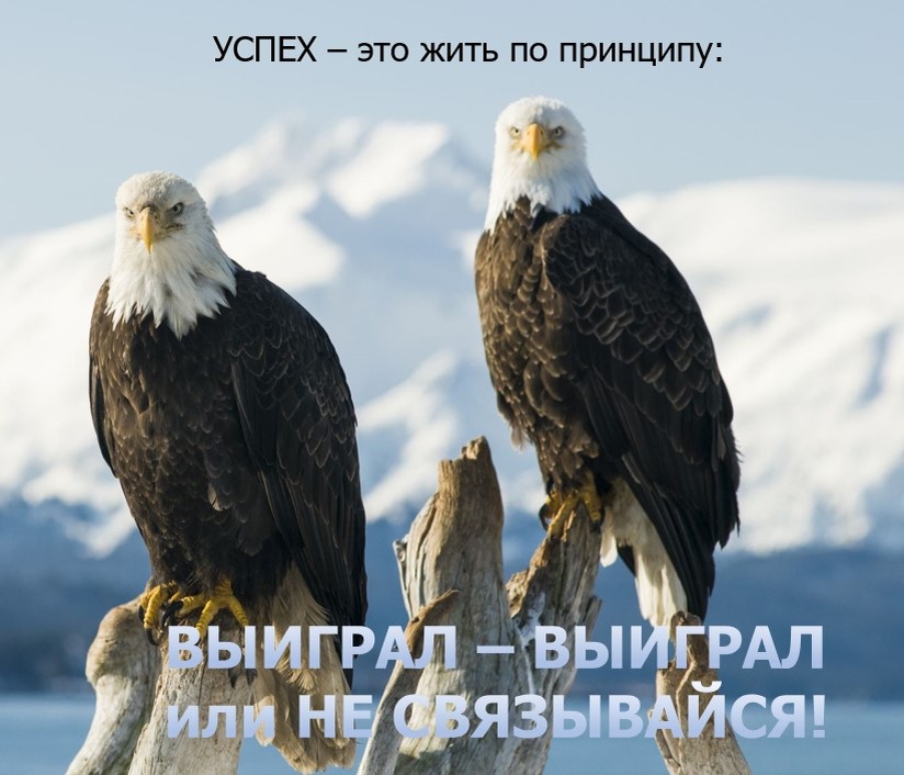 #Вот и не связывайся!#