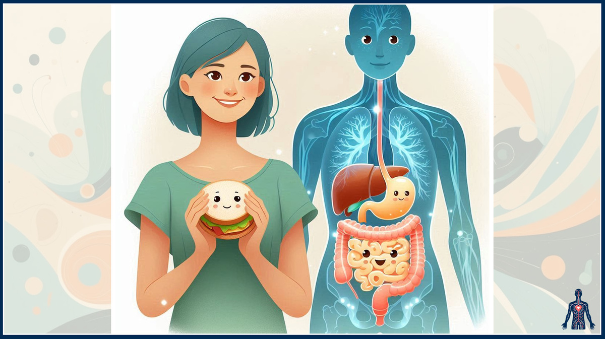 Как работает пищеварение