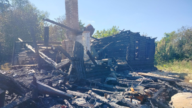 Фото: Следственный комитет Ленобласти