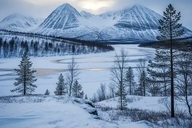    Иллюстративное фото