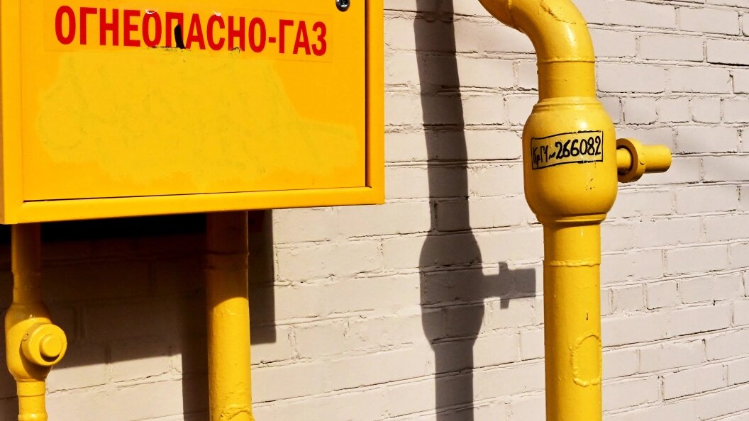    Фото: Vladimir Baranov/Globallook Press