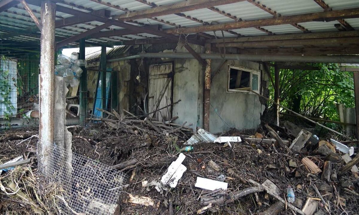    Видео канала «Кубань 24»