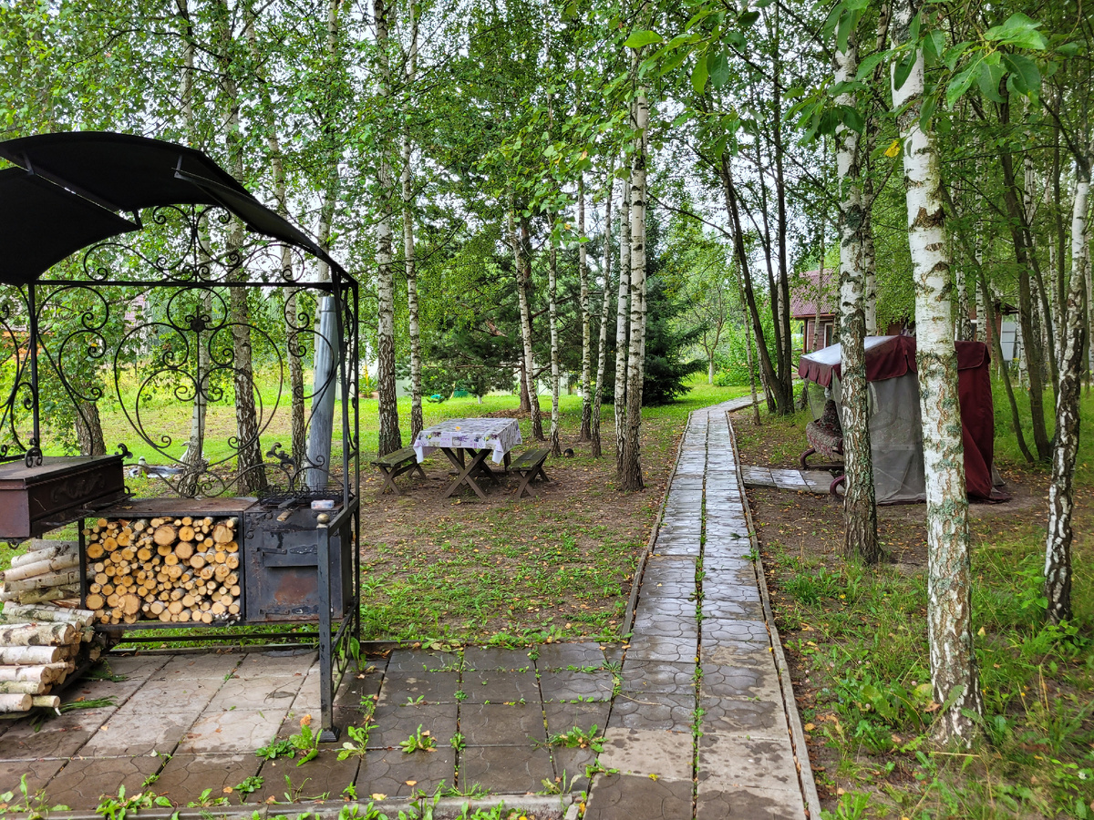 Утро, дождь