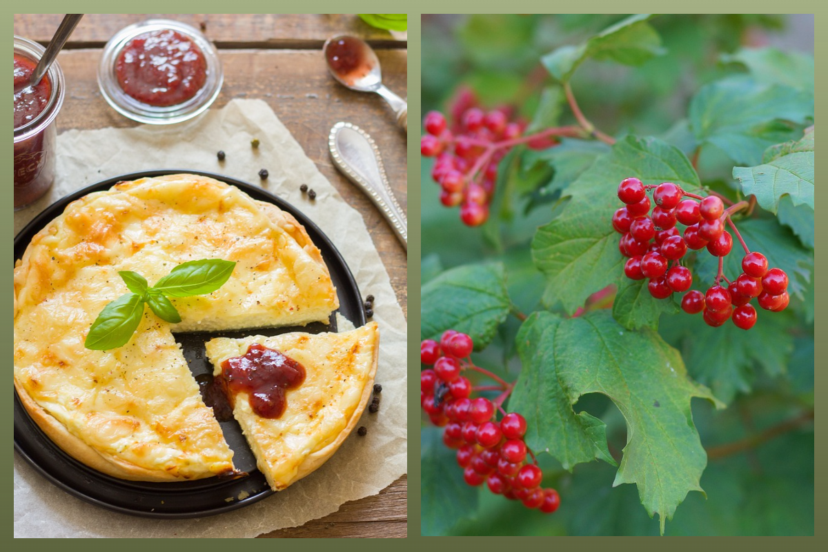Пирог, калина/pixabay.com