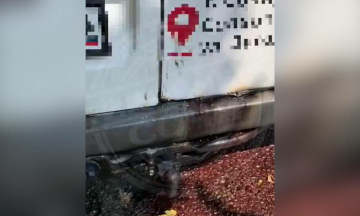    Фото t.me/sochitypical