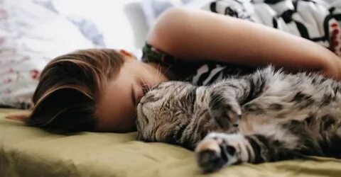 иногда лучшее лекарство — пушистый друг рядом.