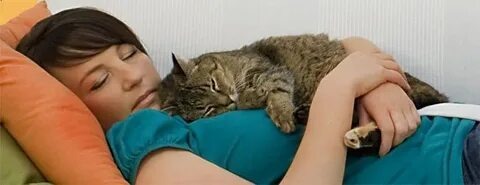 Тепло человека — уют для кошки, а тепло кошки — комфорт для человека.