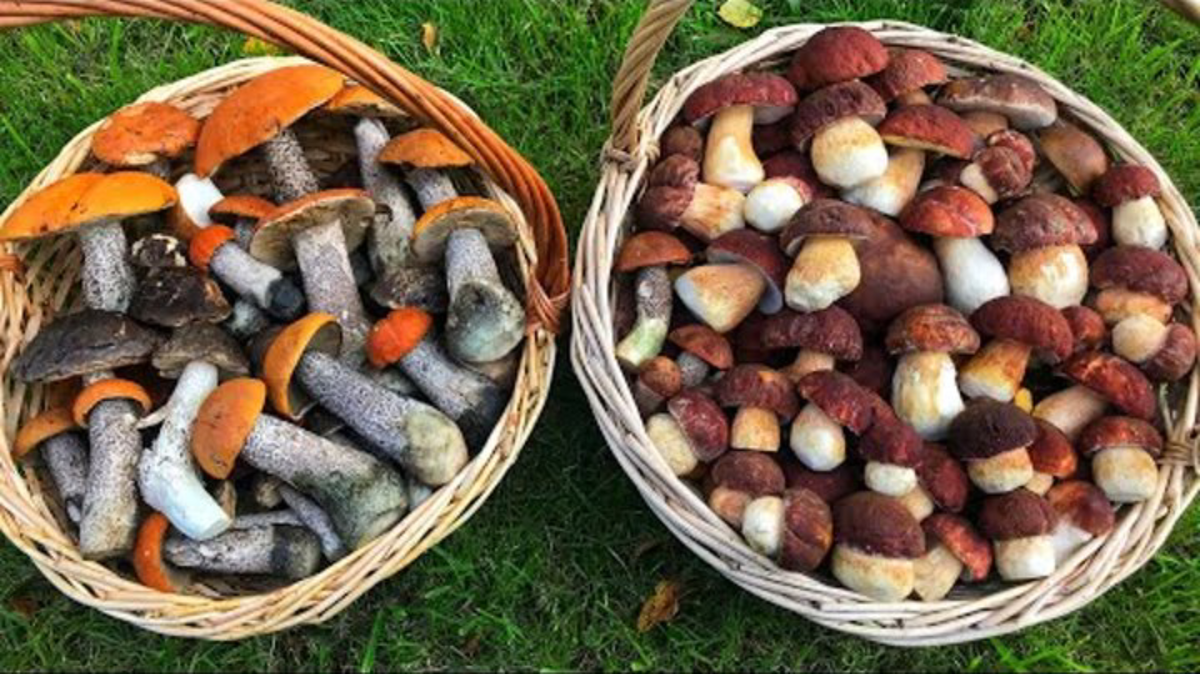 Хороший улов 