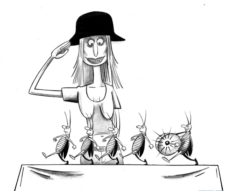 Источник Яндекс картинки