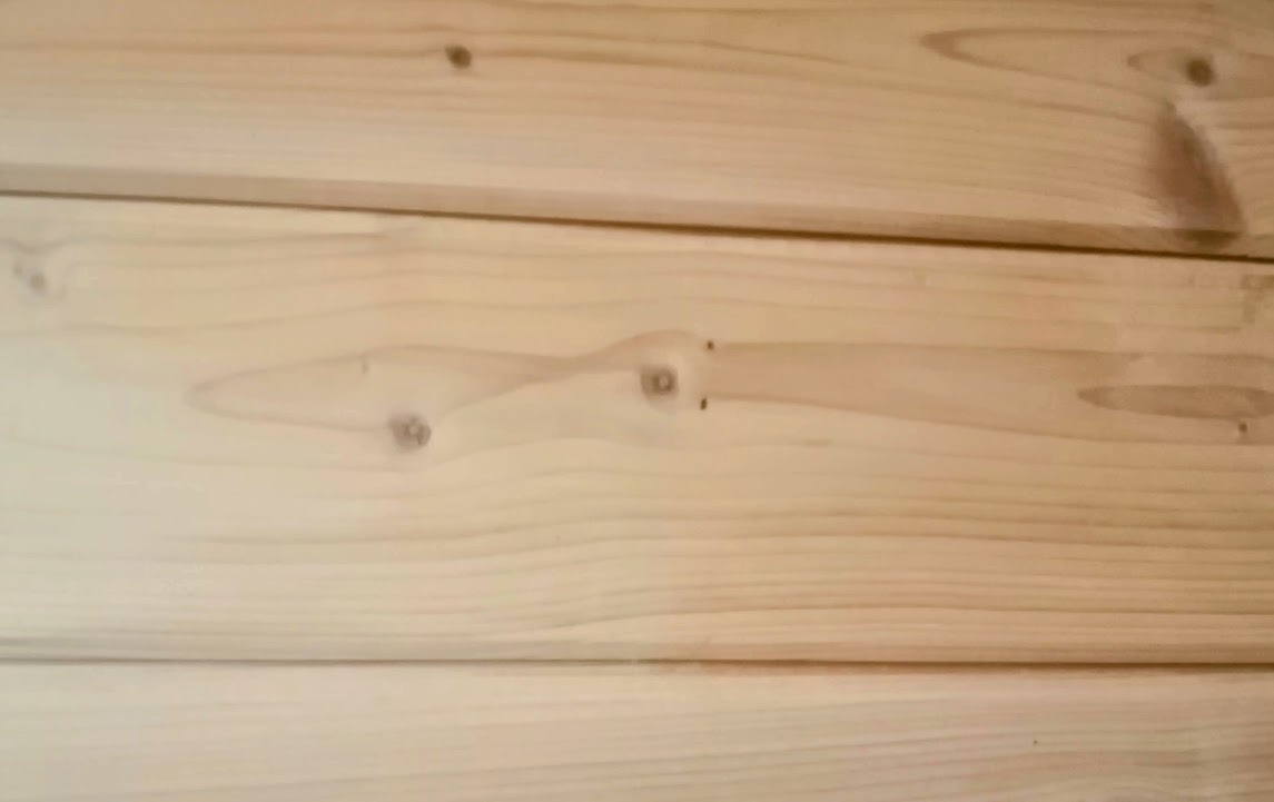 Печальный взгляд кальмара