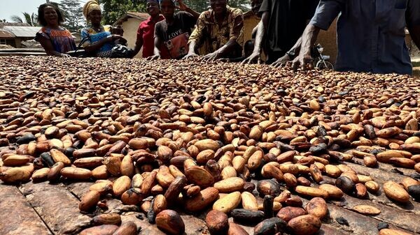    © Getty Images / picture alliance / Christina Peters